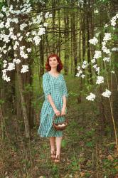 Dogwoods in Bloom