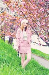 ► Pink sakuras.