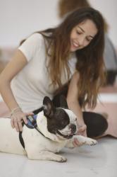 PRACTICANDO DOGA (YOGA PARA PERROS)