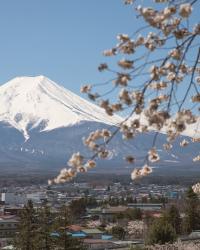 Japan #1: Ein Traum wird wahr