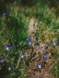 Sur les terres de Sanoflore – Elodie in Paris Sur les terres de Sanoflore – Elodie in Paris