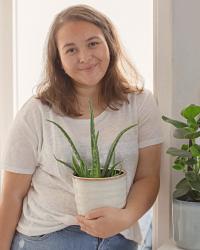 THREE EASY TO CARE FOR PLANTS