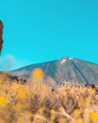 TENERIFE : mes conseils voyages !