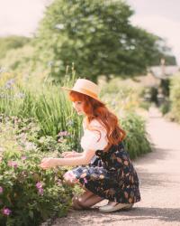 A Walk in the Park Dress