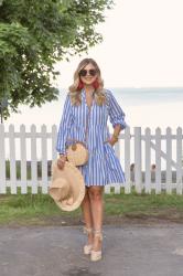 Flared Stripe Dress 