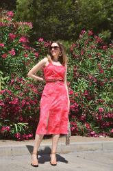 Bloom in Red