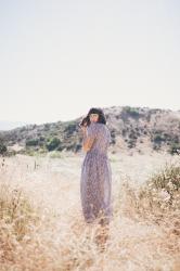 christy dawn x madewell