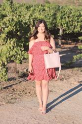 Little Red Ruffle Dress 