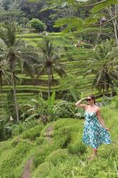 Tegallalang Rice Terrace in Bali