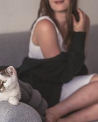 Stilvoll Wohnen mit Katze – 4 Tipps!