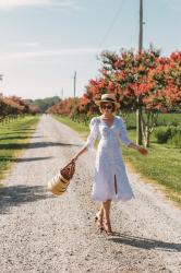 capturing the French summer look