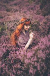 Queen of the Heather