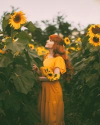 Matching the Sunflowers