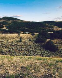 Hiking and Running Wild Rose Trail