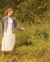 Amongst the knapweed