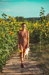 THE SUNFLOWERS II