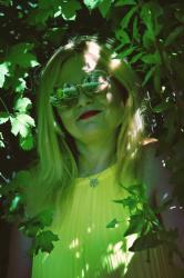 Into the woods!