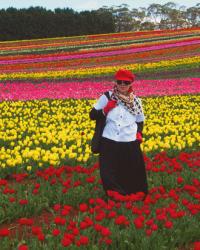 Tulips Galore