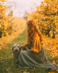 An Apple Orchard in Late Autumn