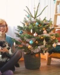 Mijn (allereerste eigen én echte) kerstboom staat!