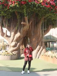 BEAUTIFUL LAND; EVERLAND KOREA