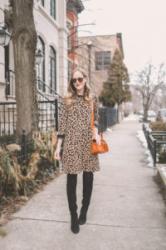 Leopard Sweater Dress on Sale