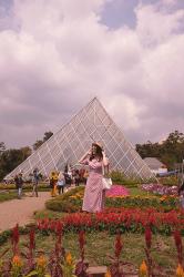 Celosia Flower Garden Semarang Review