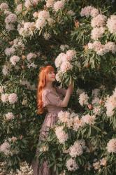 Spring Awakening