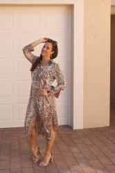 A Python Print Shirtdress