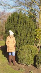 First Signs Of Spring And My Large Polka Dot's On My Coat