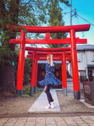 Kagurazaka (le quartier français) et le musée Yayoi Kusama - programme d'une belle journée dans le nord de Tokyo (2/2) 