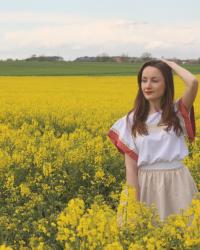 RAPESEED FIELD