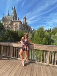 The Wizarding World of Harry Potter