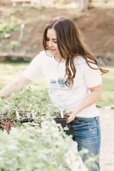how to harden off seedlings.