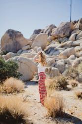 Palm Springs & Joshua Tree | 5 cool things & more not to miss