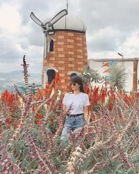 Instagrammable Places in Cebu