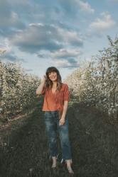 Apple blossoms in bloom