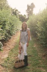 Summer Blueberry Picking