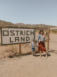 A Day Trip to Ostrichland USA and Solvang, California