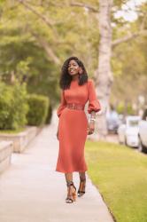 Rust Bishop Sleeve Dress