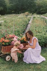 Garden Dresses