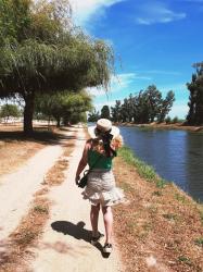 Look Nº 564 - No Memorie!