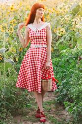 In the Sunflower Fields