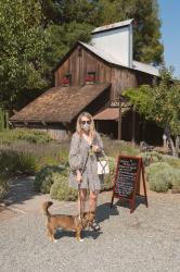 Wine tasting in Anderson Valley