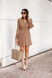 Leopard for Fall