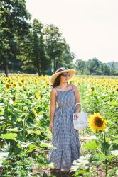 Sea of Sunflowers