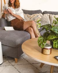 Qualité de l’air : 7 conseils pour dépolluer son intérieur