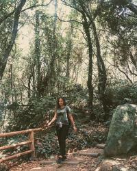 Sendero de Los Guardianes Centenarios, una ruta mágica en Tenerife