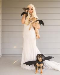 NO SEW DIY DRAGON DOG COSTUME + DAENERYS TARGARYEN