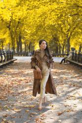 Autumn Looks in Shades of Chestnut and Rose